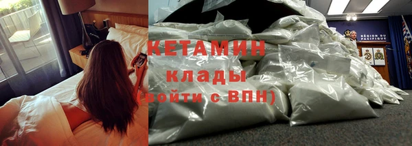 шишки Армянск