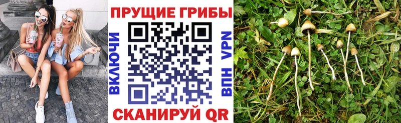 Галлюциногенные грибы прущие грибы  где найти наркотики  Усть-Джегута 
